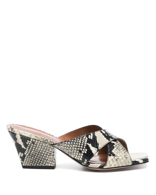 Paris Texas Gray Sandals