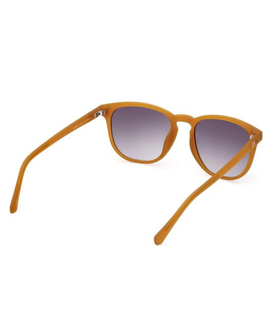 Guess Brown Sunglasses