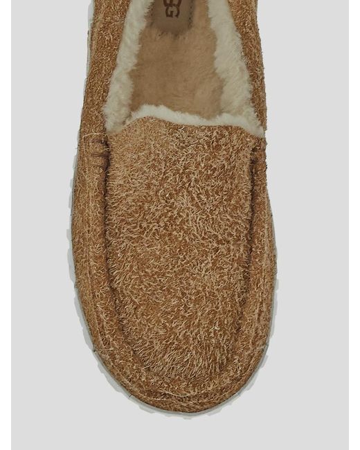 Ugg Brown Flat Shoes for men