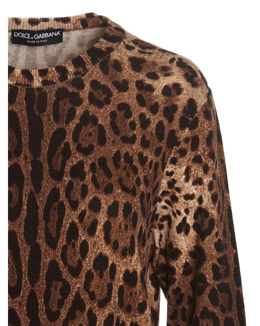 Dolce & Gabbana Animalier Sweater Sweater, Cardigans in Brown | Lyst Canada