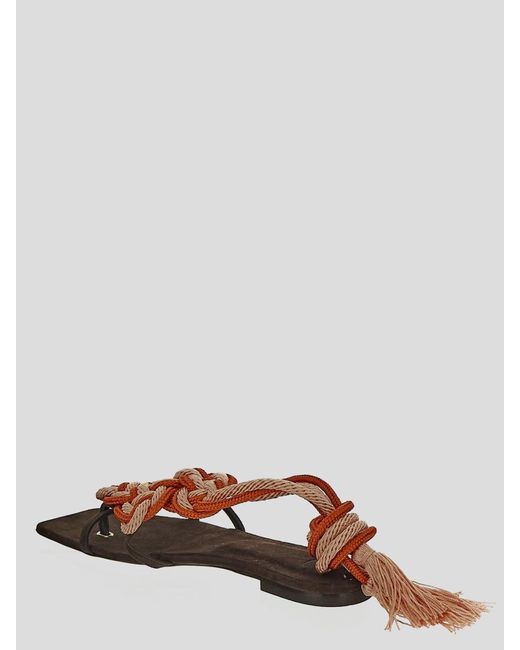 Clove Brown Sandals