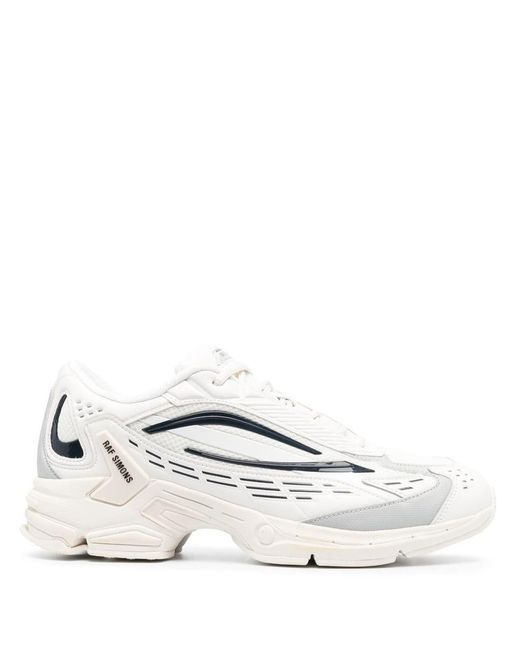 Raf best sale simons lyst