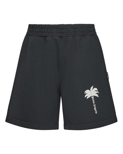 Palm Angels Black The Palm Gd Shorts for men