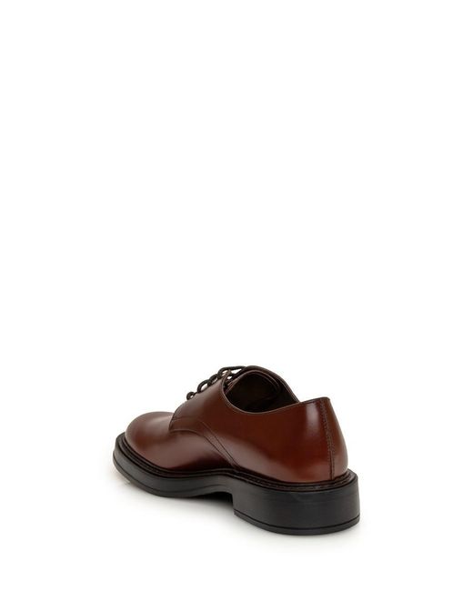 Tod's Brown Laced Derby Passal for men