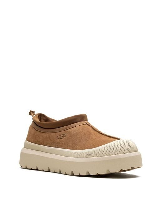 Ugg Brown Sneakers "Tasman Weather Hybrid" for men