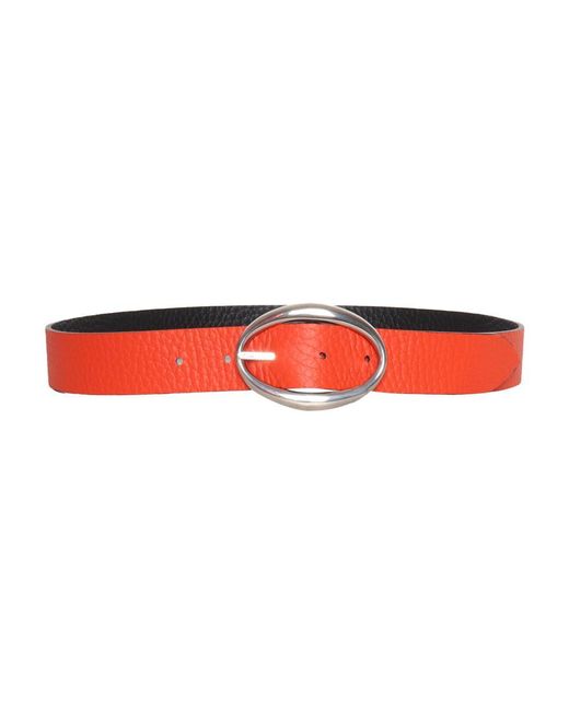 Claudio Orciani Red Belt