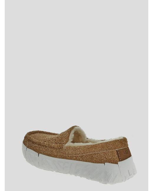 Ugg Brown Flat Shoes for men