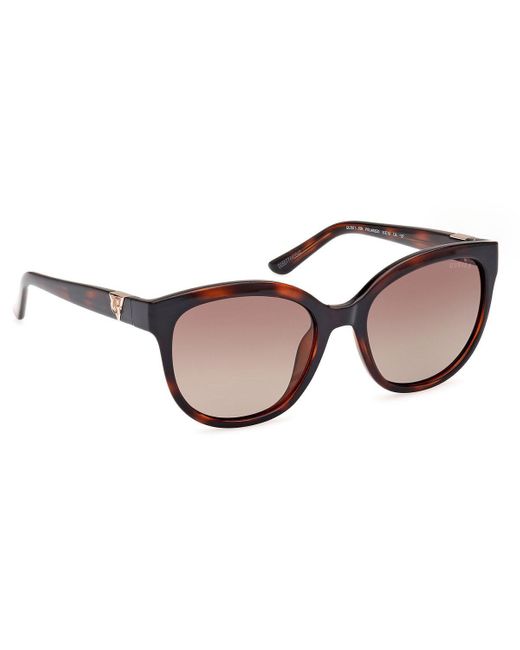 Guess Brown Sunglasses