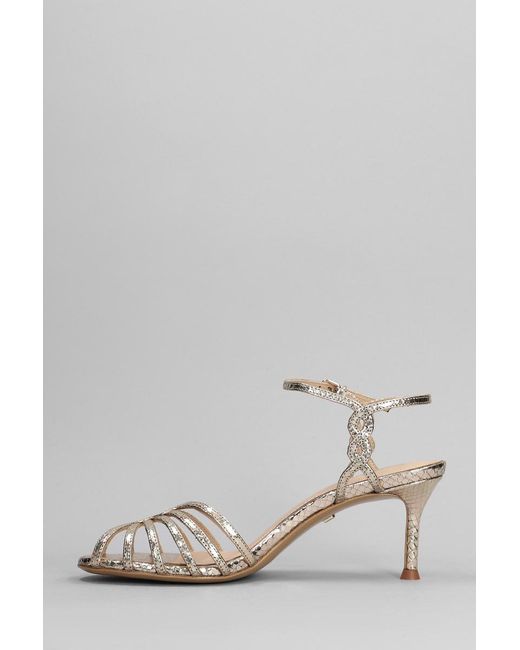 Lola Cruz Multicolor Tango 65 Sandals