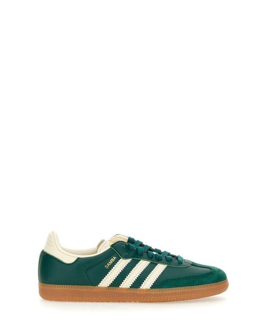 Adidas Originals Green Sneaker "Samba"