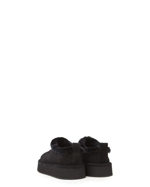 Paloma Barceló Black Booties