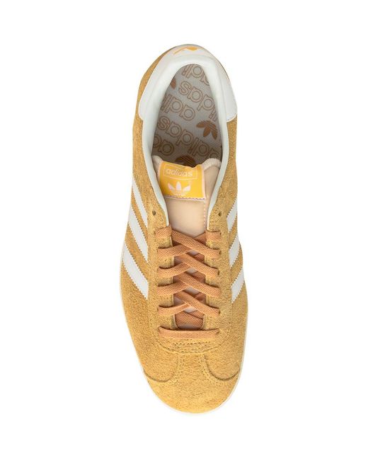 Adidas Originals Natural Gazelle Sneaker for men
