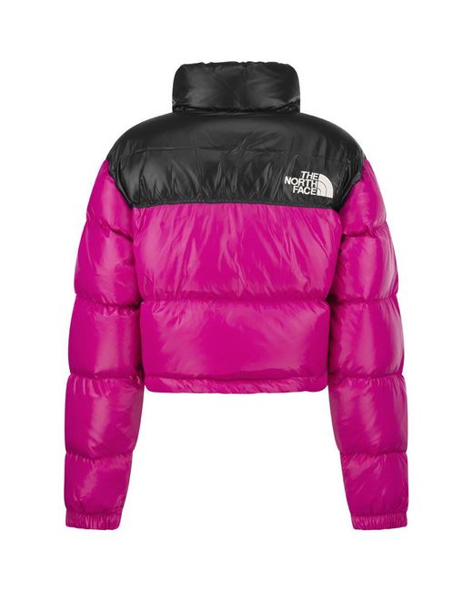 The North Face Synthetic Nuptse Cropped Down Jacket In Pink Save 4 Lyst