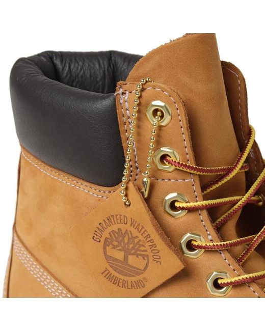 Timberland Brown Premium 6 Inch Lace Up Waterproof Boot for men
