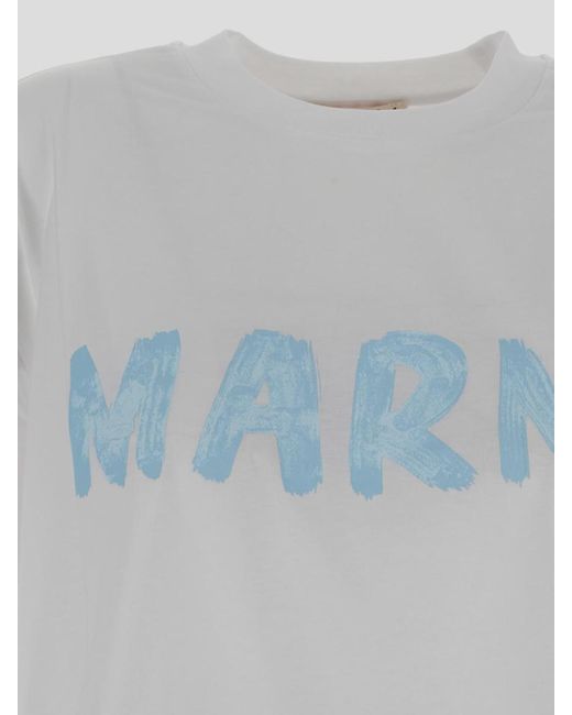 Marni Gray T-Shirts And Polos