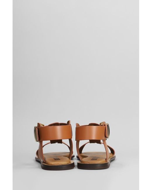 Bibi Lou Brown Sunny Flats Color