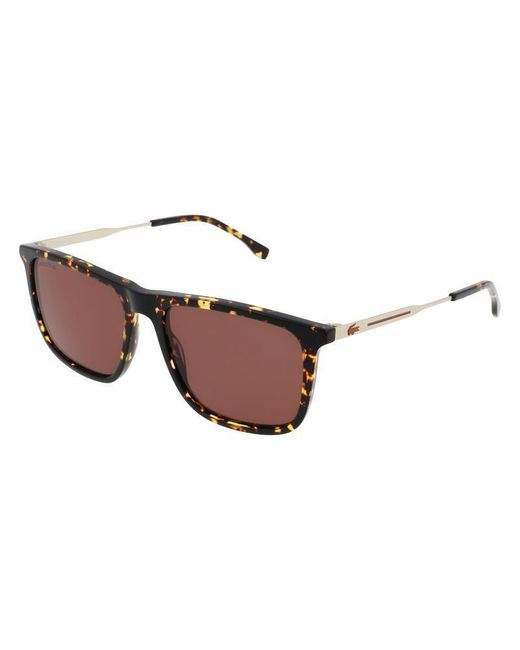 Lacoste Brown Sunglasses for men