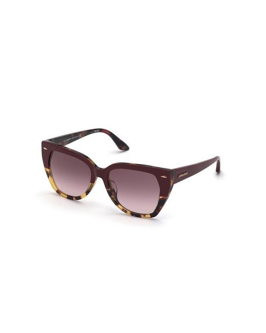 Longines Purple Sunglasses