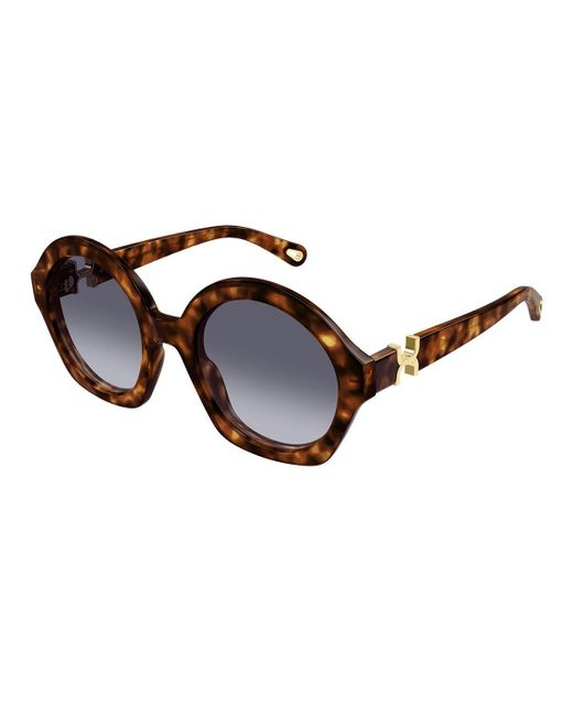 Chloé Brown Sunglasses