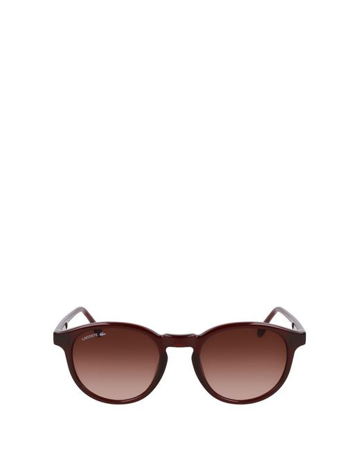 Lacoste Brown Eyewear