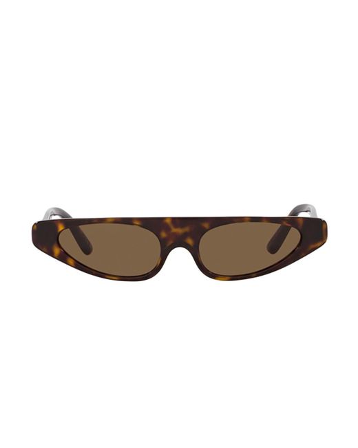 Dolce & Gabbana Brown Dg4442 Re-Edition Sunglasses