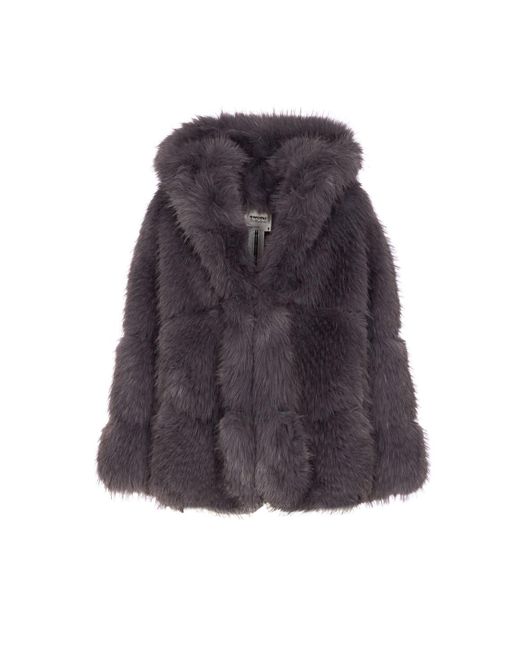 S.w.o.r.d 6.6.44 Purple Coats