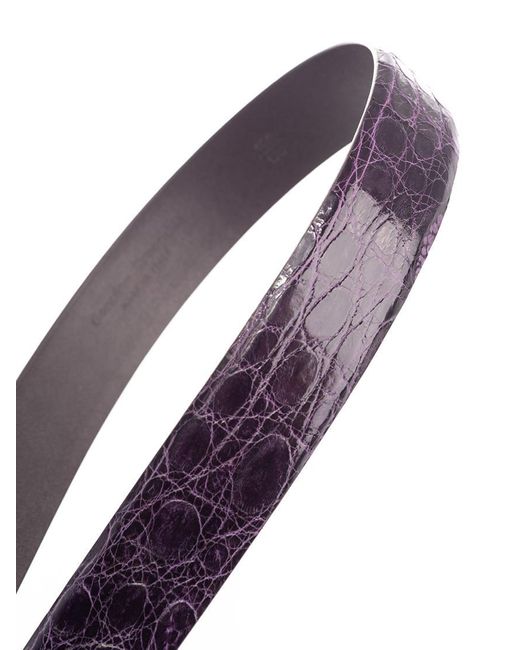 D'Amico Purple Belts for men
