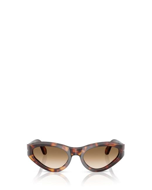 Persol Brown Sunglasses