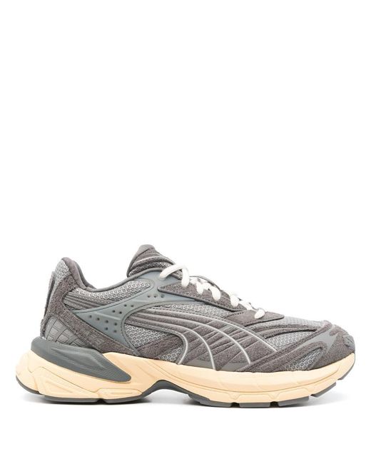 PUMA Gray Velophasis Sd Shoes for men