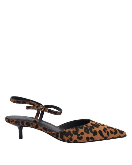 Steve Madden Brown With Heel