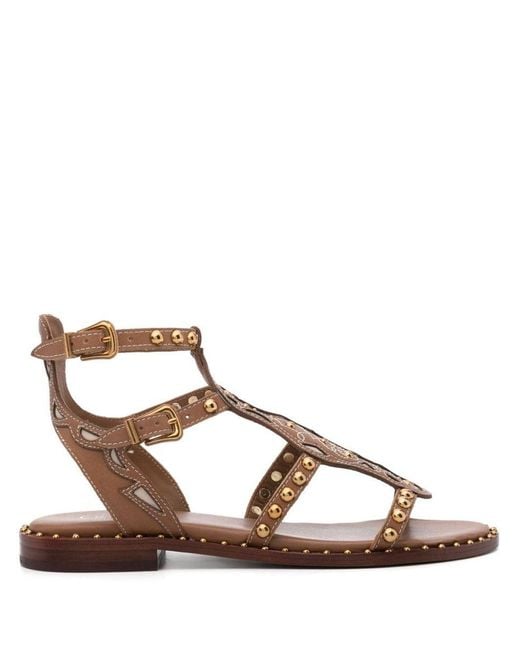 Ash Brown Plaza Studded Leather Sandals