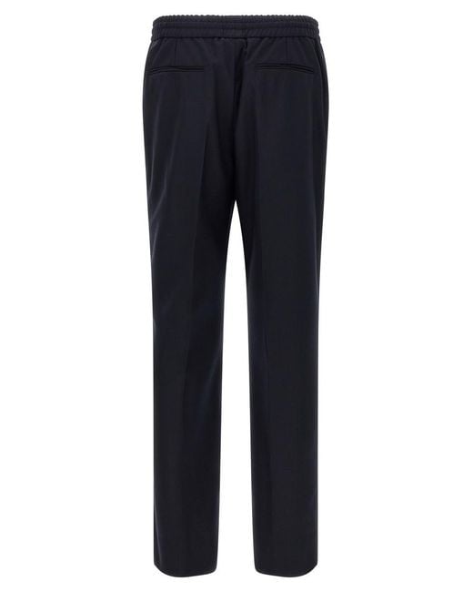 Brioni Blue 'asolo S' Pants for men