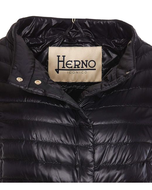 Herno Black Down Jacket
