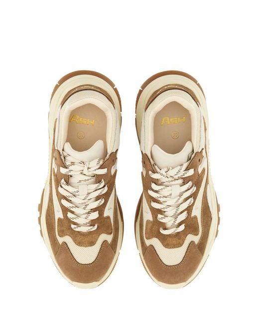 Ash Natural Sneaker "Addict"