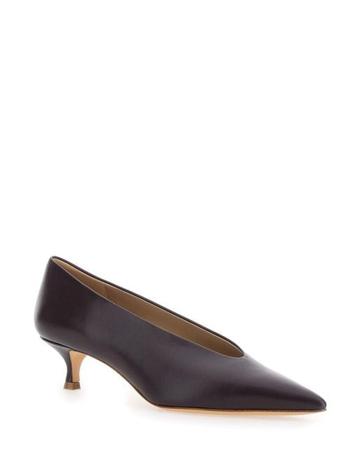 Le Monde Beryl Brown Pumps With Pointed Toe And Low Heel