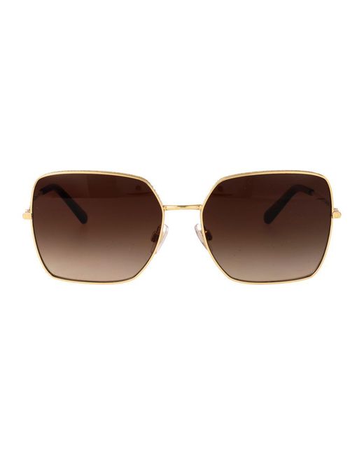 Dolce & Gabbana Brown Sunglasses