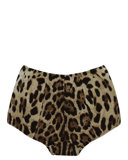 Dolce & Gabbana Black Animal Print Briefs
