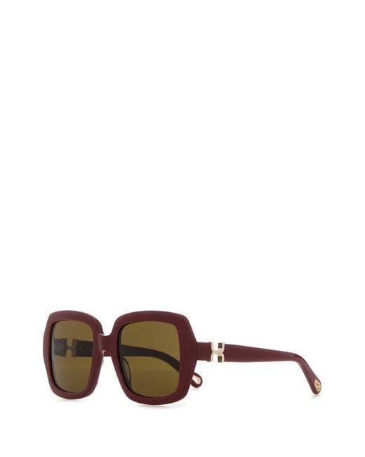 Chloé Brown Sunglasses