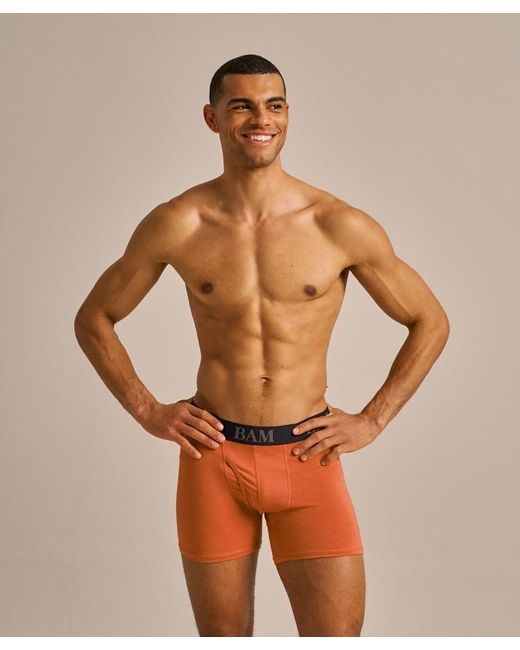 Bam Brown Regular Fitted Air Boo Boxers for men