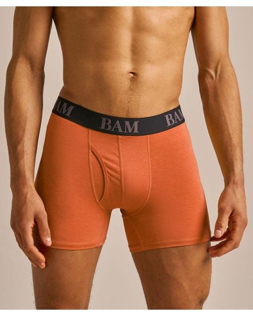 Bam Brown Regular Fitted Air Boo Boxers for men