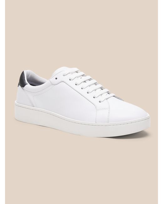 nicklas leather sneaker banana republic