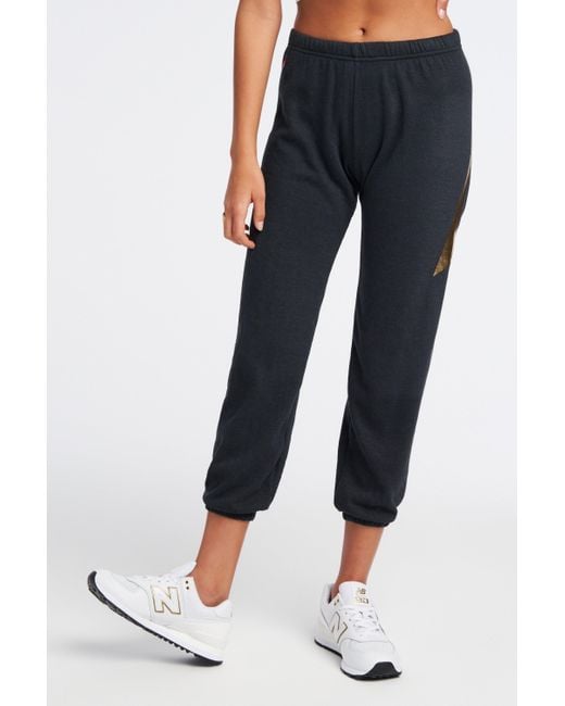 aviator nation sweatpants sizing