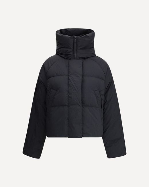 Canada Goose Blue Chilliwack Padded Jacket