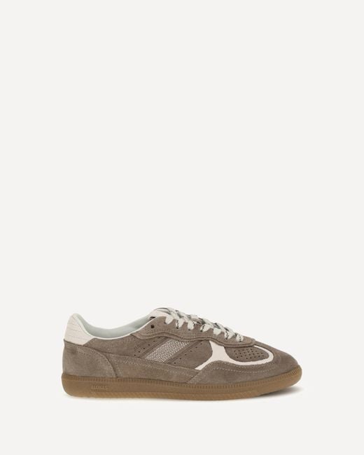 Alohas Brown Tb.490 Rife Suede Sneakers