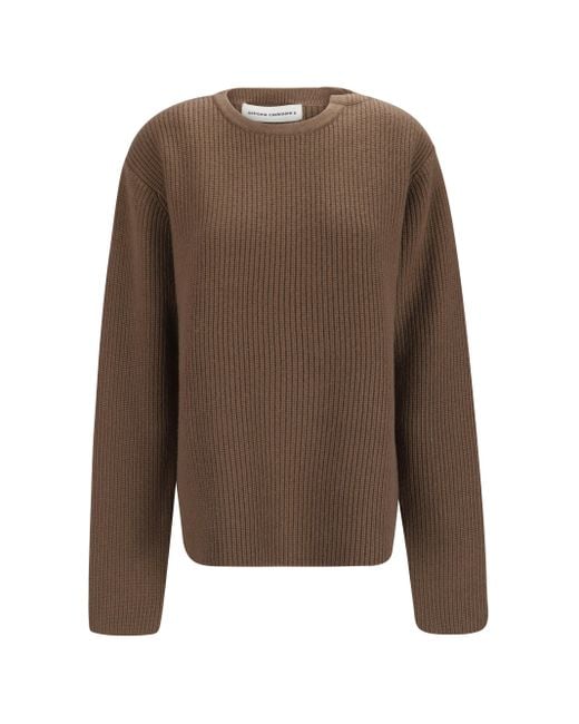 Extreme Cashmere Brown Sweater