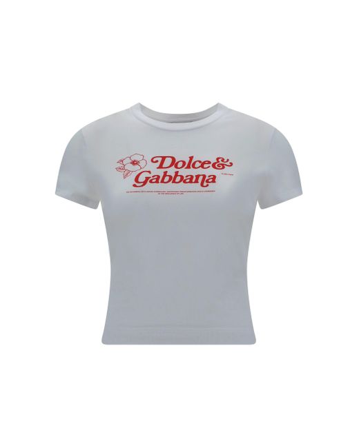 Dolce & Gabbana Gray T-Shirts