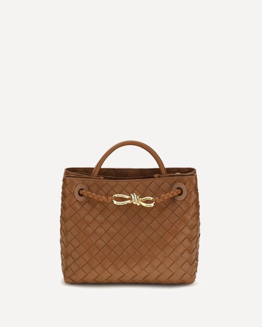 Bottega Veneta Brown Andiamo Shoulder Bag