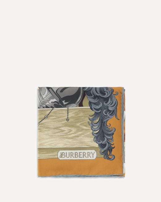 Burberry Blue Wardrobe Scarf for men