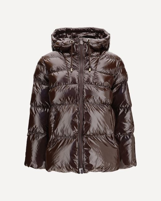 Pinko Brown Hooded Eleodoro Down Jacket