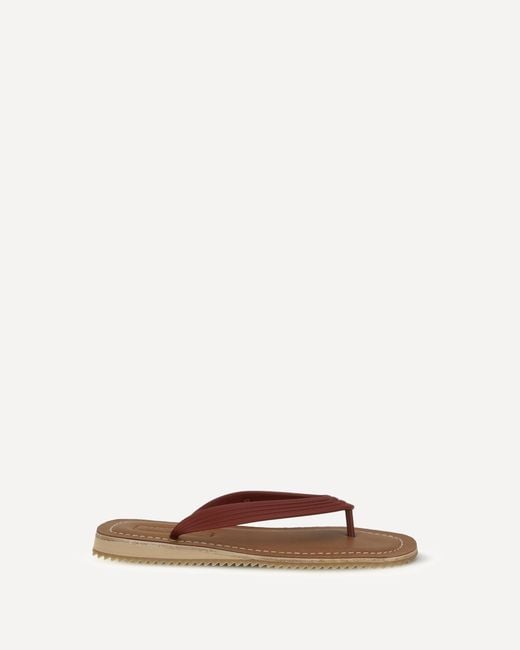 Miu Miu Brown Flip-Flop Sandals